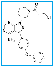 (R)-1-(3-(4-amino-3-(4-phenoxyphenyl)-1H-pyrazolo[3,4-d]pyrimidin-1-yl)piperidin-1-yl)-3-chloropropan-1-one